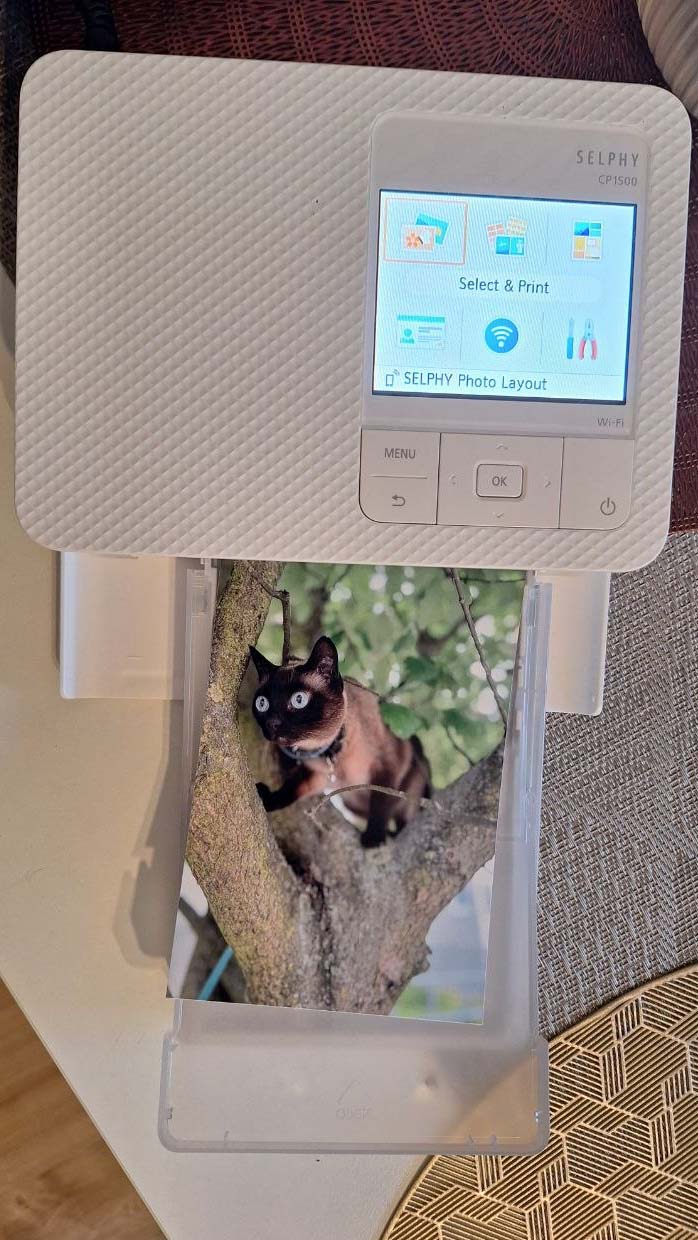 Canon Selphy CP1500 compact wireless photo printer